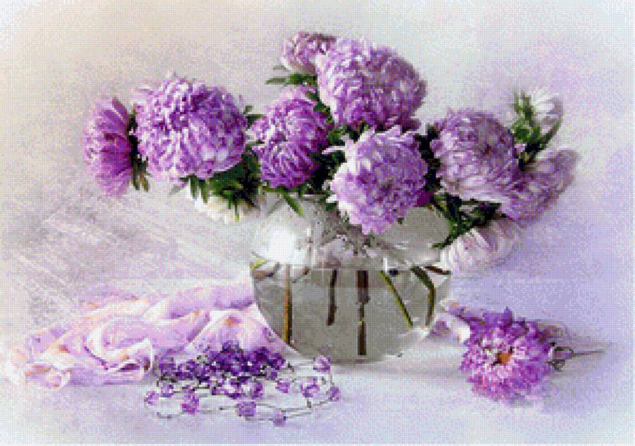 сиреневые астры - цветы - предпросмотр