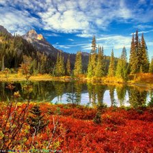 Схема вышивки «Озеро в лесу»