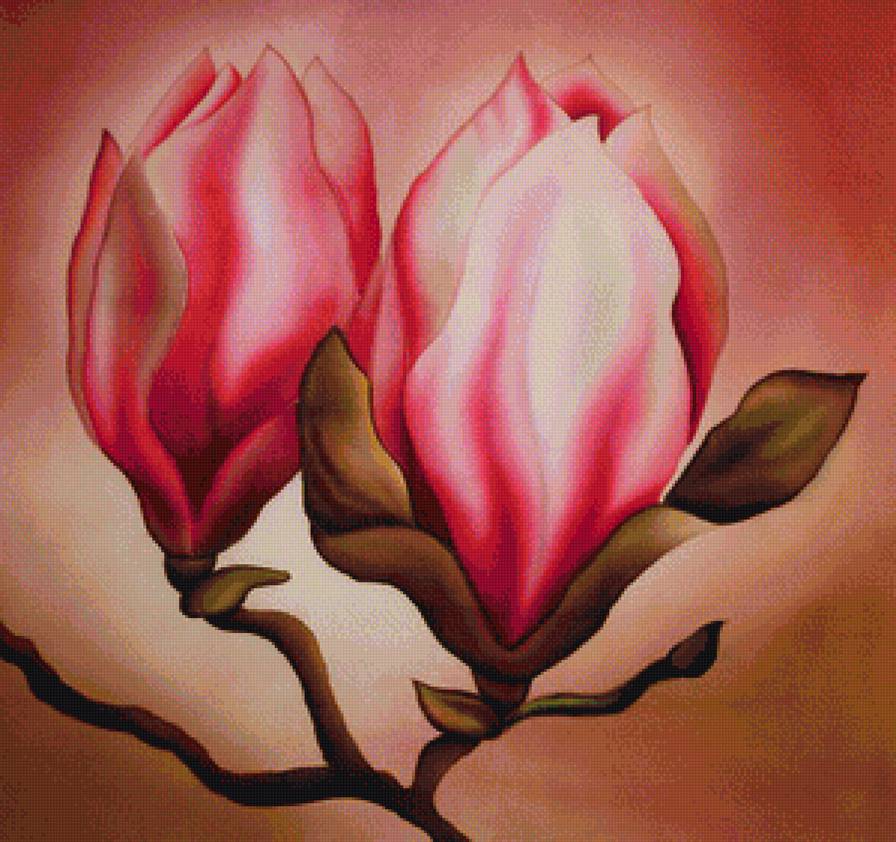 Магнолия - цветы, магнолия - предпросмотр