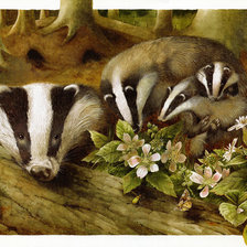 Схема вышивки «Барсучья семья»