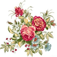 Схема вышивки «Розы»