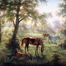 Схема вышивки «лошади»