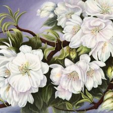 Схема вышивки «№1171570»