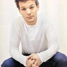 Схема вышивки «Луи»