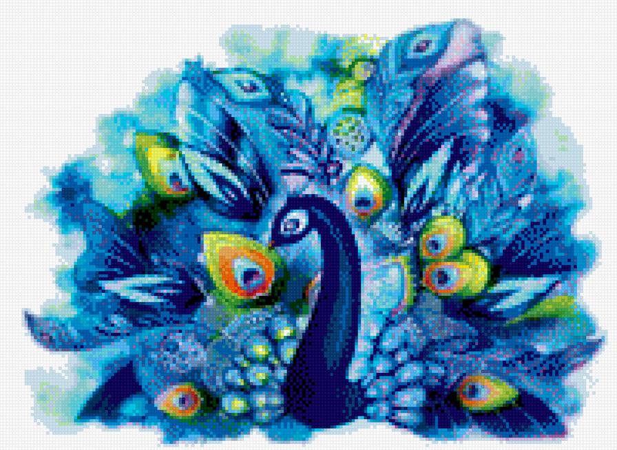 павлин - птицы, павлин - предпросмотр