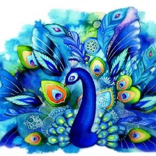 Схема вышивки «павлин»