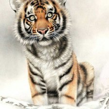 Схема вышивки «тигренок»