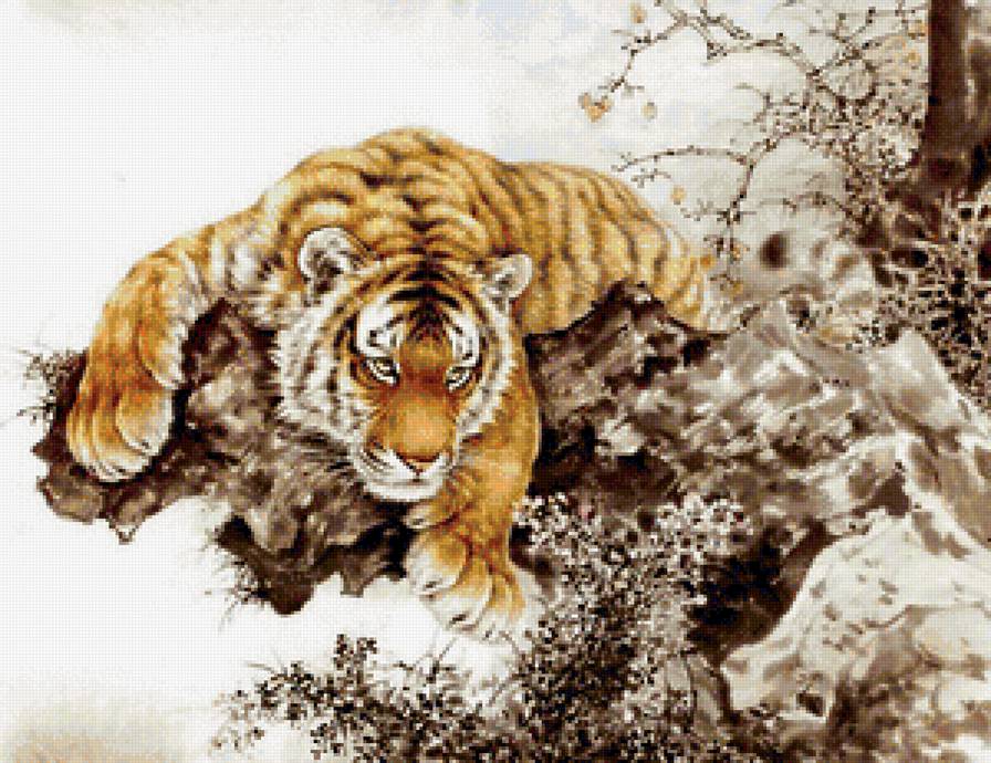 тигр - предпросмотр