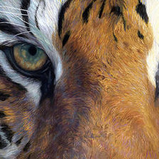 Схема вышивки «тигр»