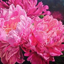 Схема вышивки «Пышные пиончики»