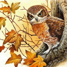 Схема вышивки «совушка»