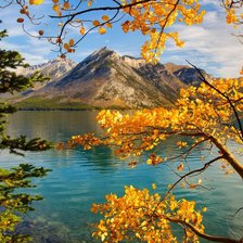 Схема вышивки «№1172495»