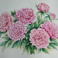 букет пионов