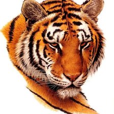 Схема вышивки «№1172599»