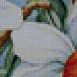 Предпросмотр схемы вышивки «нарциссы» (№1172652)