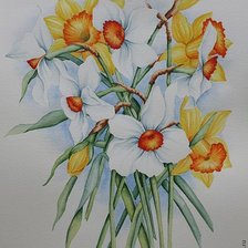 Схема вышивки «нарциссы»