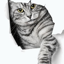 Схема вышивки «№1172877»