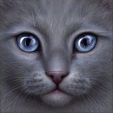 Схема вышивки «глазки-2»