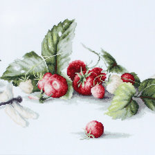 натюрморт земляника