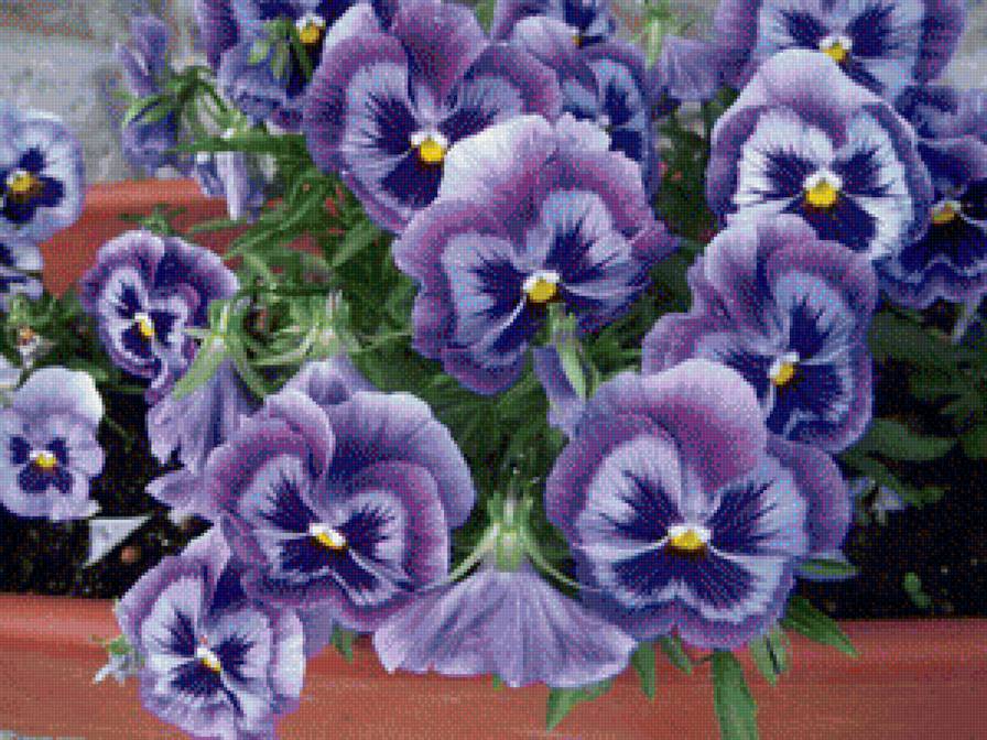 синие цветы - цветы, синие цветы, грусть - предпросмотр