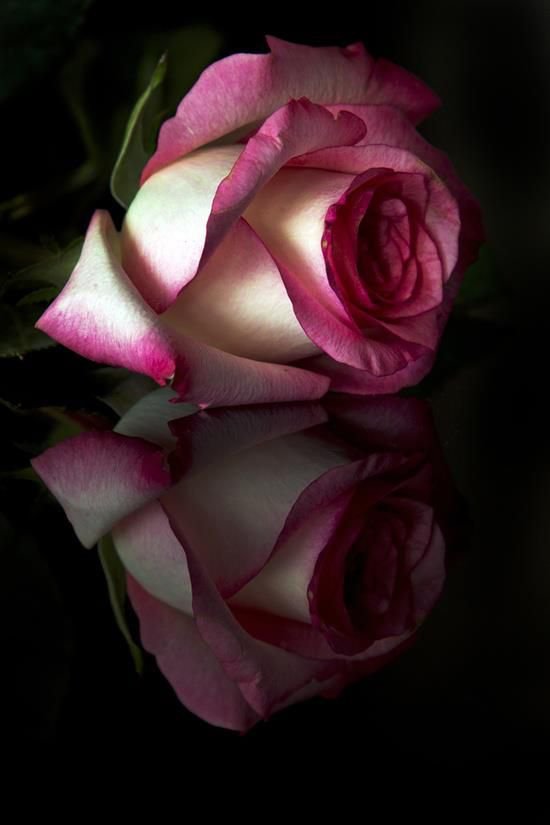 №1173865 - оригинал