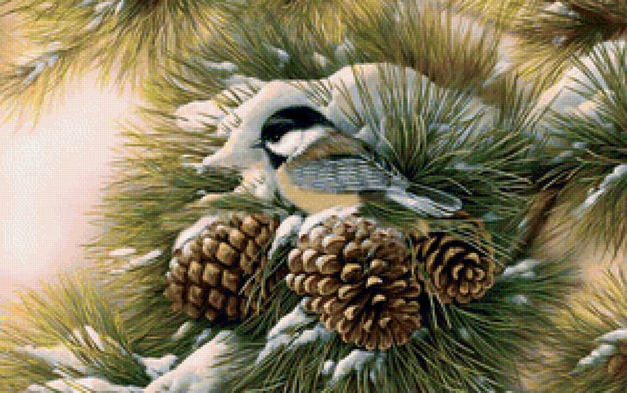 Притаилась - зима, птицы, синицы - предпросмотр