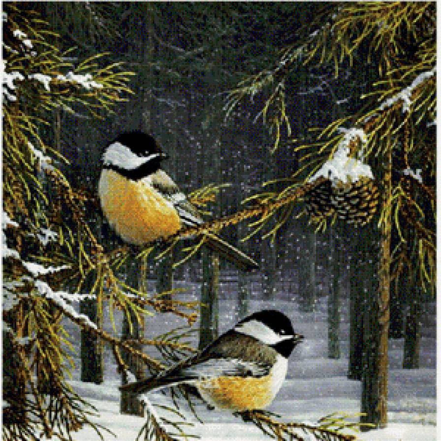 Синички - зима, птицы, синицы - предпросмотр