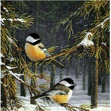 Схема вышивки «Синички»