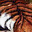Предпросмотр схемы вышивки «тигры» (№1174063)