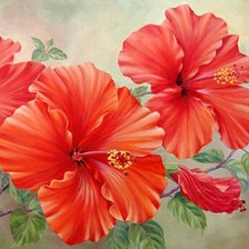 Схема вышивки «гибискус»