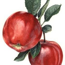 Схема вышивки «№1174285»