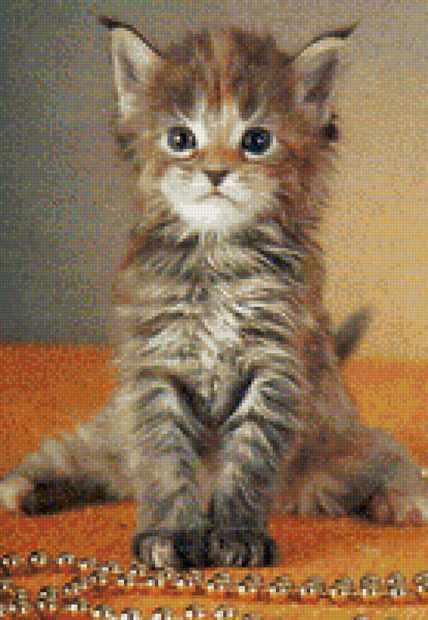 Котенок с бусами - серый котенок, бусы - предпросмотр