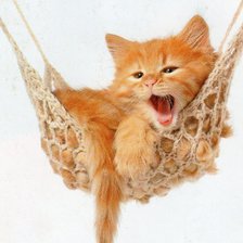 Схема вышивки «Котенок в гамаке»