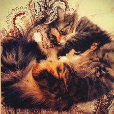 Схема вышивки «кот на подушке»