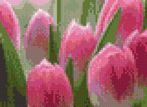 Цветы тюльпаны - тюльпаны цветы - предпросмотр