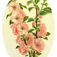 Схема вышивки «Ветка сакуры»