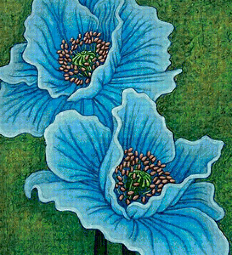 Цветы - мак, цветы, маки, голубые цветы - предпросмотр