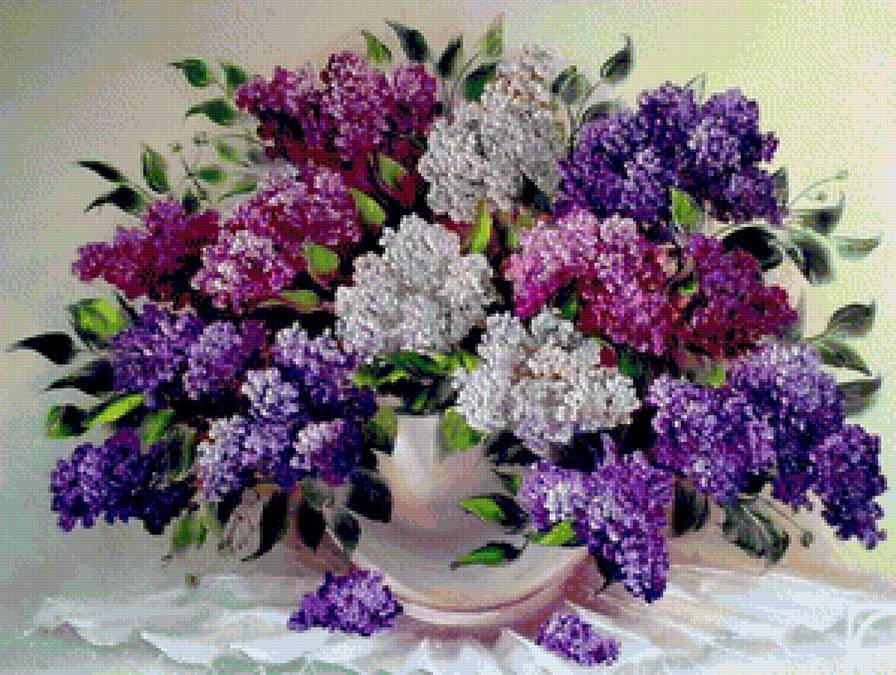 Букет сирени - цветы. - предпросмотр