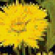 Предпросмотр схемы вышивки «Одуванчики на черном» (№1174984)
