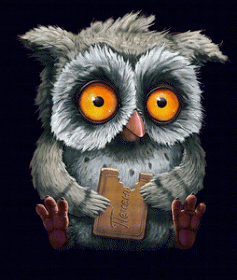 Совёнок - сова - предпросмотр