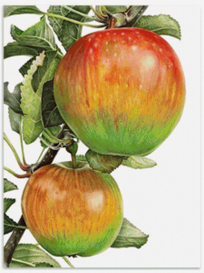 №1175479 - предпросмотр