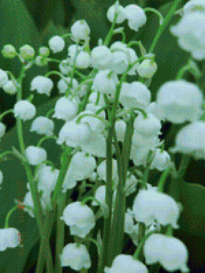 Ландыши - ландыши, схема, вышивание крестиком, цветы - предпросмотр