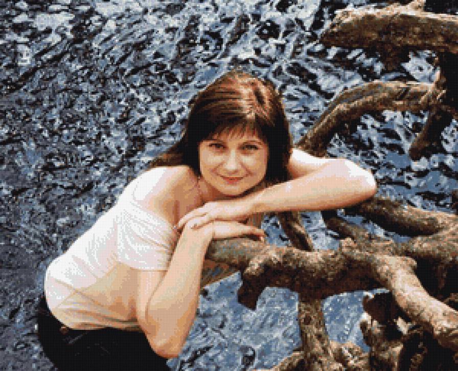 коряга - вода - предпросмотр