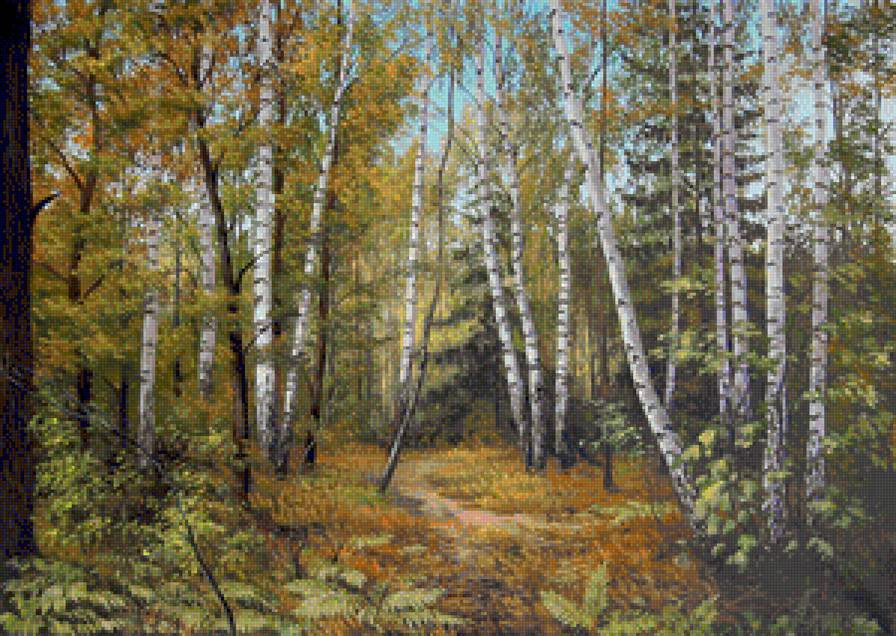 Берёзы - природа, пейзаж - предпросмотр