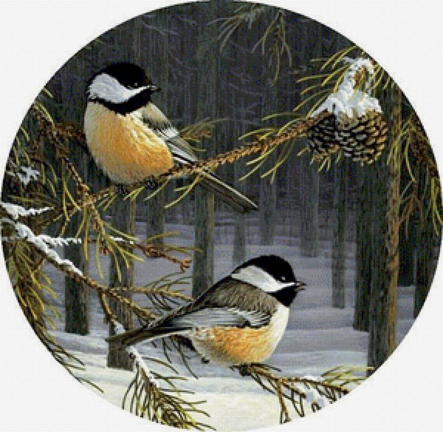Синички - зима, птицы - предпросмотр