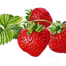 Схема вышивки «Аппетитная клубничка»