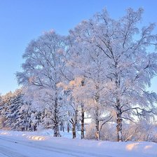 Схема вышивки «Зимний пейзаж»
