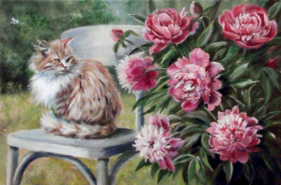 кот и пионы - кошки, цветы, натюрморт - предпросмотр