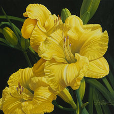 Схема вышивки «№1176808»