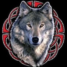 Схема вышивки «Волки»